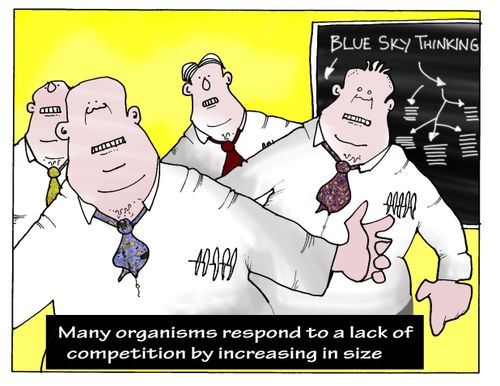 MANAGEMENT...Many organisms respond to a lack of competition by increasing in size.