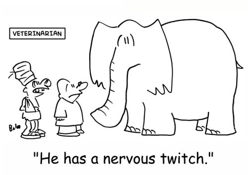 VETERINARIAN: 'He has a nervous twitch.'