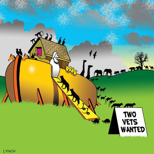 Noah's Ark: 'Two Vets Wanted.'