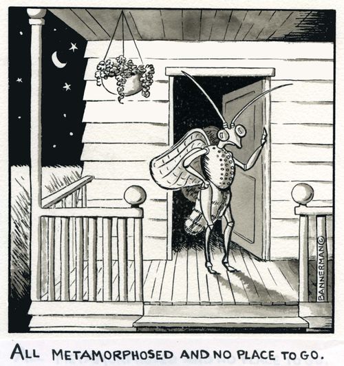 All Metamorphosed And No Place To Go.