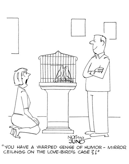 'You have a warped sense of humor - mirror ceilings on the love-birds cage?!'