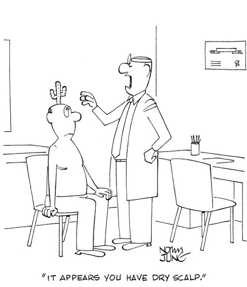 'It appears you have dry scalp.'