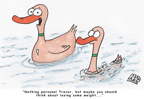 'Nothing personal Trevor, but maybe you should think about losing some weight...'