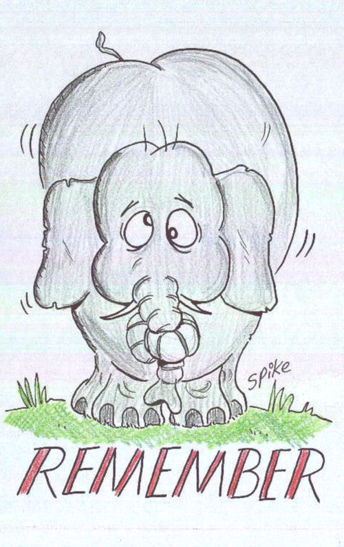 Elephants never forget.