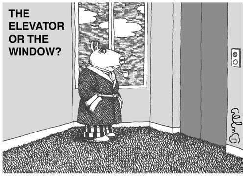 The Elevator or the window?