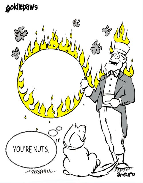Ring of fire trick: You're nuts.