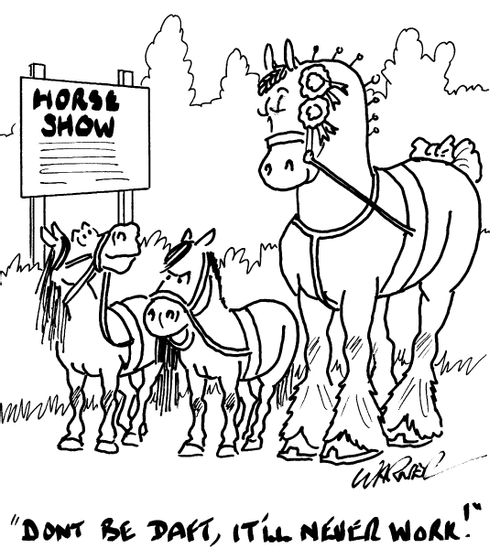 "Don't be daft, it'll never work!"