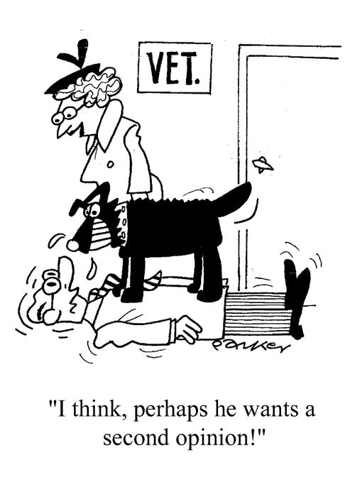 "I think, perhaps, he wants a second opinion!"