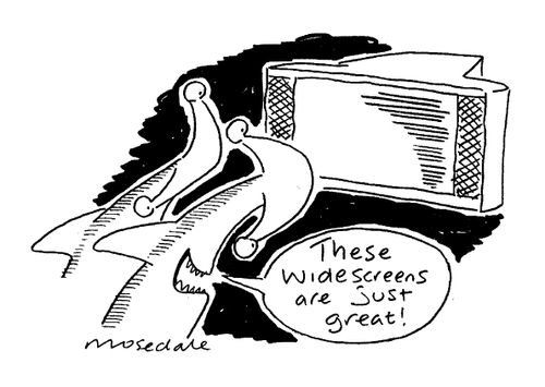 Hammerhead sharks enjoying widescreen TV