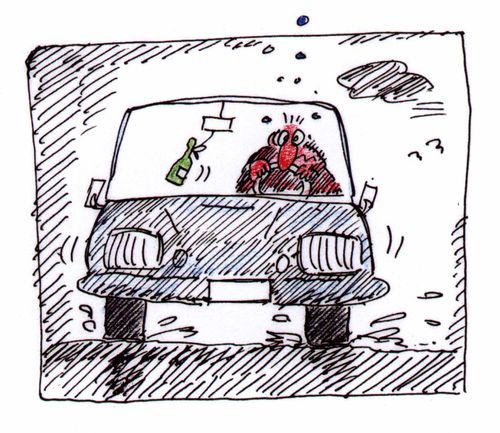 Red faced man looking unwell whilst driving a car in bad weather with a bottle