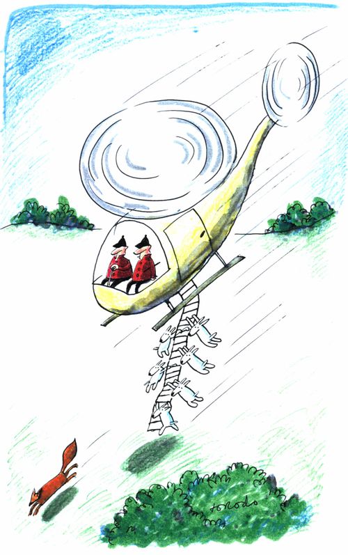 Fox being chased by hounds about to jump off a ladder from a helicopter