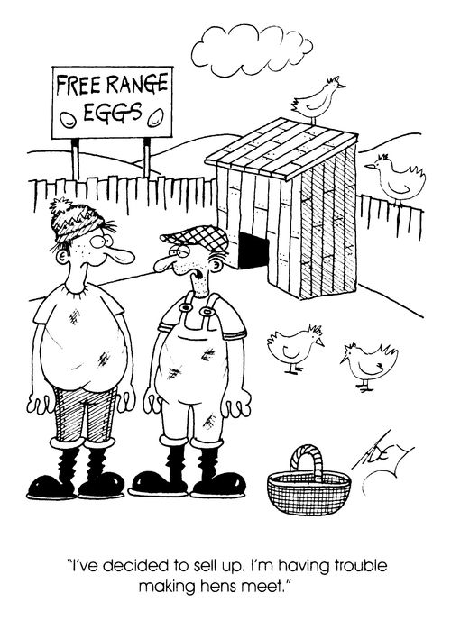 Free Range Eggs - ""I've decided to sell up. I'm having trouble making hens meet."