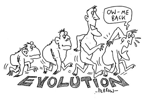 Evolution, man at various evolutionary stages, "Ow - me back"