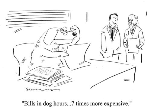 'Bills in dog hours...7 times more expensive.'