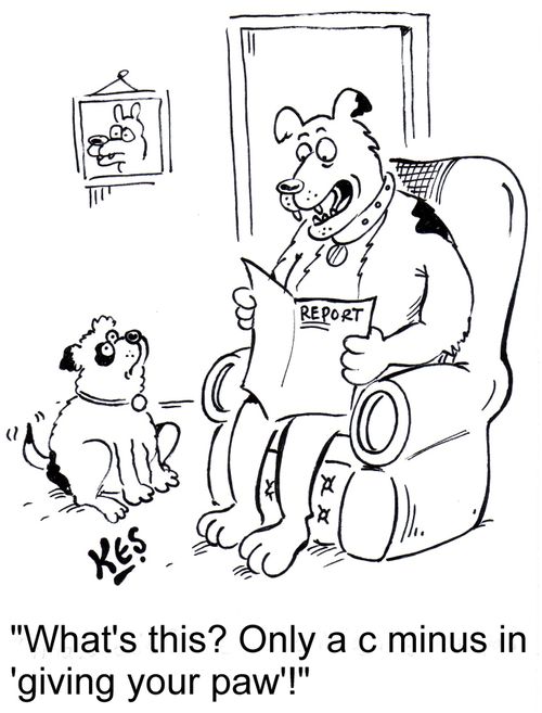 'What's this? Only a C minus in 'giving your paw'!'