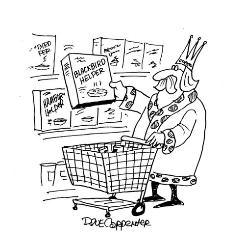 'Blackbird helper' meal being picked up by a King in supermarket.