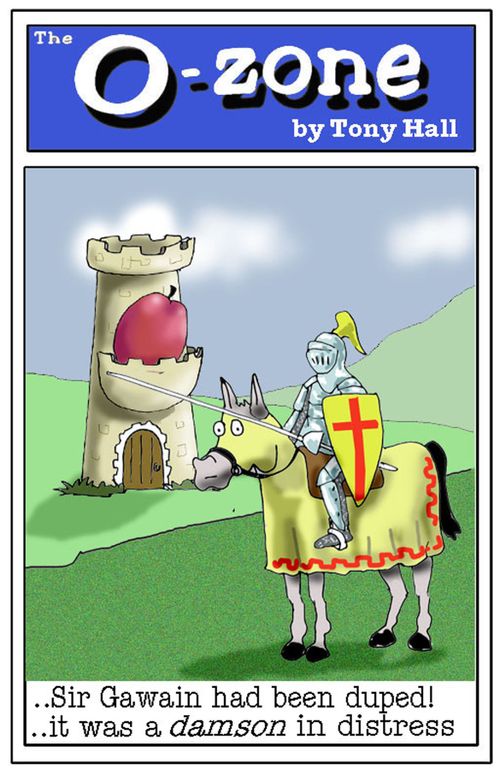 Sir gawain had been duped....it was a damson in distress