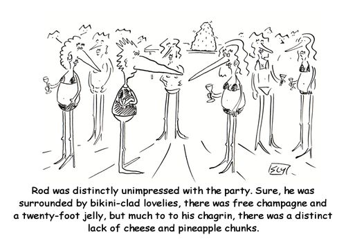 Rod was unimpressed with the party - Sure, he was surrounded by bikini-clad lovelies, there was free champagne and a 20-foot jelly, but much to his chagrin, there was a distinct lack of cheese and pineapple chunks.