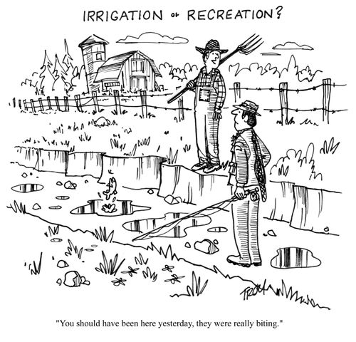 Irrigation or recreation?: 'You sould have been here yesterday, they were really biting.'