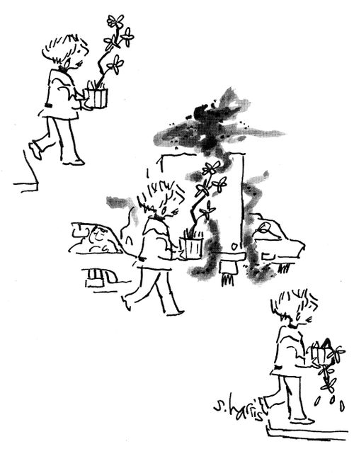 Pollution.