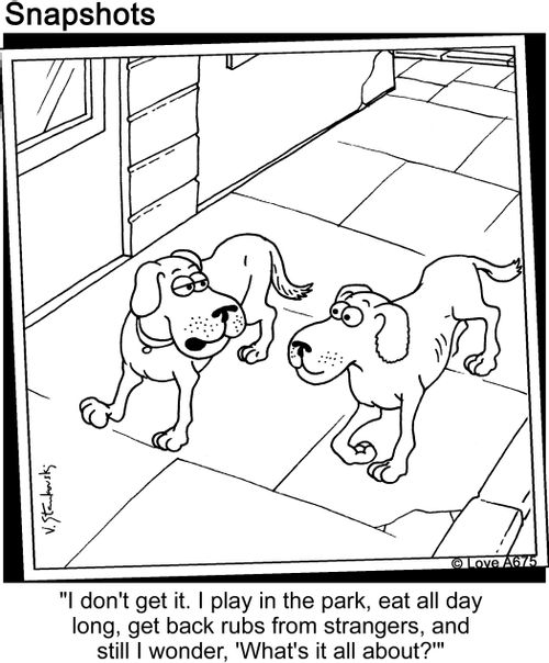 "I don't get it. I play in the park, eat all day long, get back rubs from strangers, and still I wonder, 'What's it all about?'"