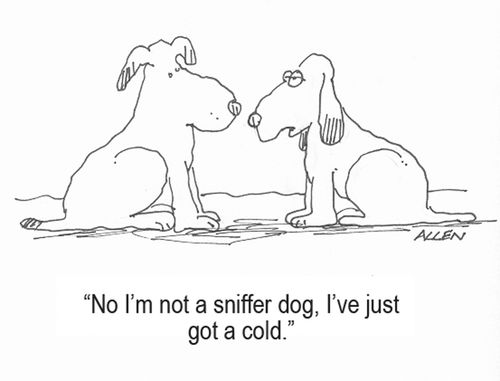 "No I'm not a sniffer dog, I've just got a cold."