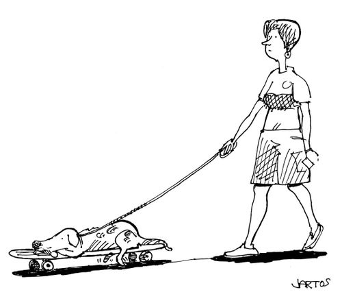Dog on a skateboard.