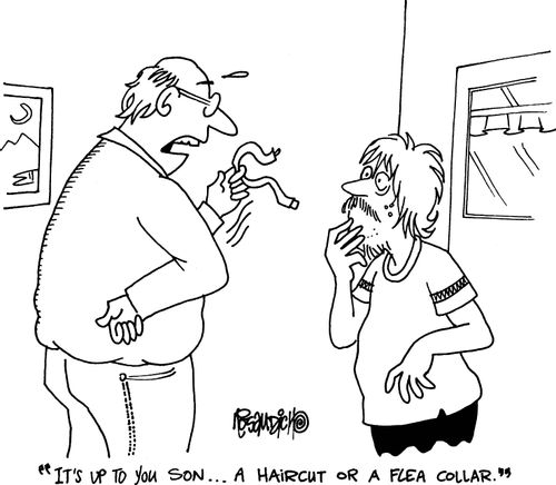 'It's up to you son.... A haircut or a flea collar.'