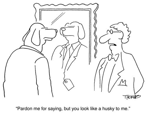 'Pardon me for saying, but you look like a husky to me.'