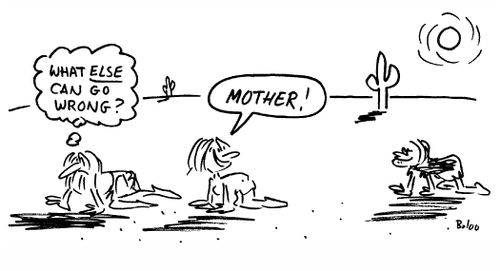 'What else can go wrong?', 'MOTHER!'