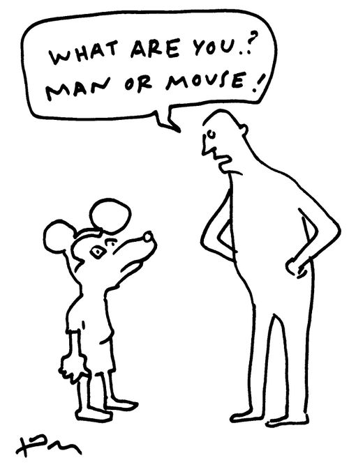 'What are you? Man or Mouse!'