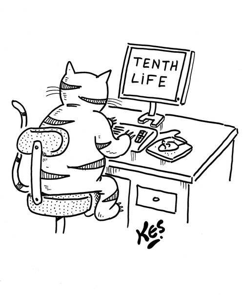A cat is at a computer playing a virtual reality game called; 'Tenth life'.