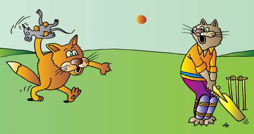 Cats Play Cricket with Mouse