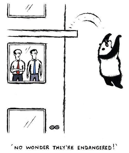 'No wonder they're endangered!'