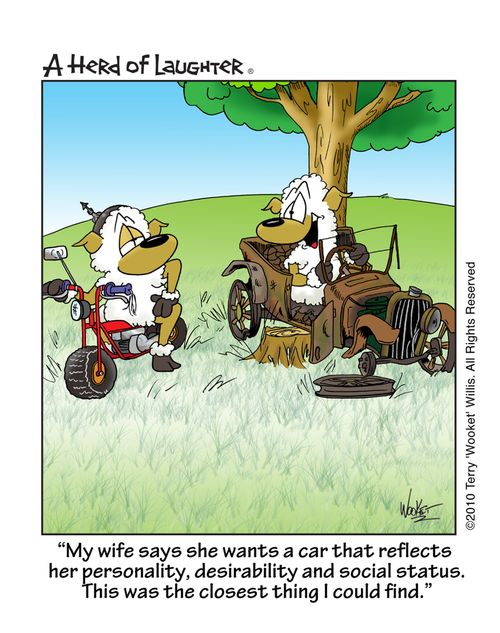 'My wife says she wants a car that reflects her personality, desirability and social status. This was the closest thing I could find.'