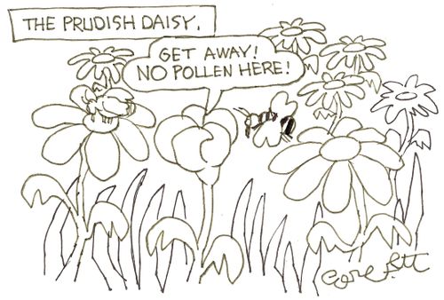 The prudish daisy: 'Get away!  No pollen here!'