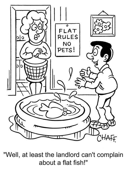 'Well, at least the landlord can't complain about a flat fish!'
