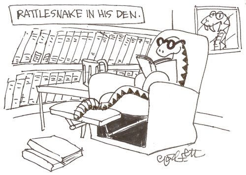 Rattlesnake in his den.