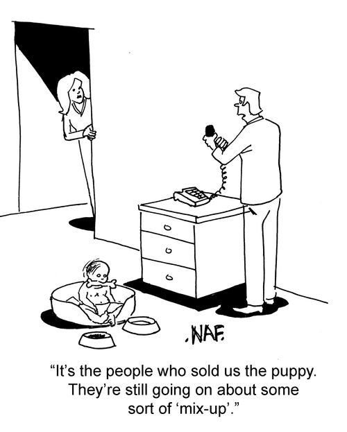 "It's the people who sold us the puppy...going on about some sort of mix up."
