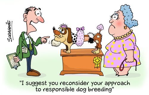 'I suggest you reconsider your approach to responsible dog breeding.'