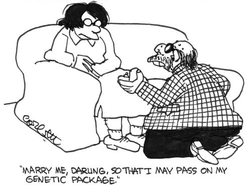 "Marry me...so I may pass on my genetic package."
