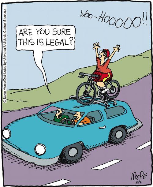 'Are you sure this is legal?'