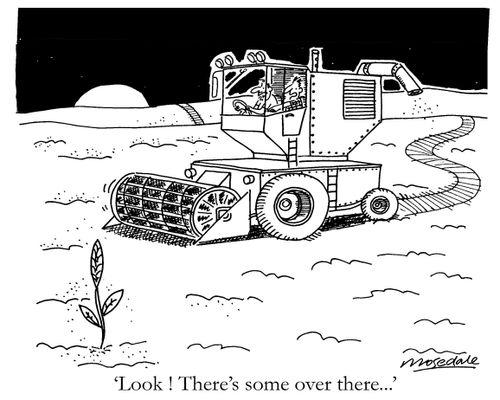 'Look ! There's some over there...'