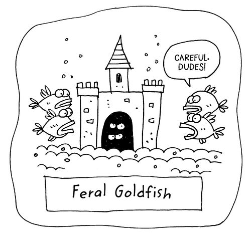 Feral Goldfish.