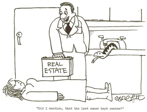 'Did I mention, that the last owner kept snakes?'