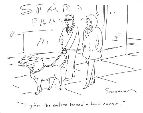 'It gives the entire breed a bad name.'