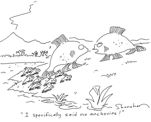'I specifically said no anchovies!'