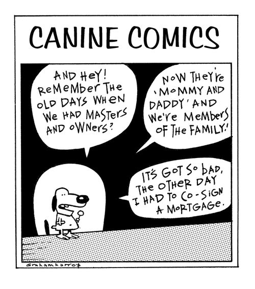 Canine Comedians
