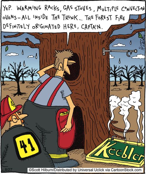Yep. Warming racks, gas stoves, multiple convection ovens - all inside the trunk... The forest fire definitely originated here, captain.