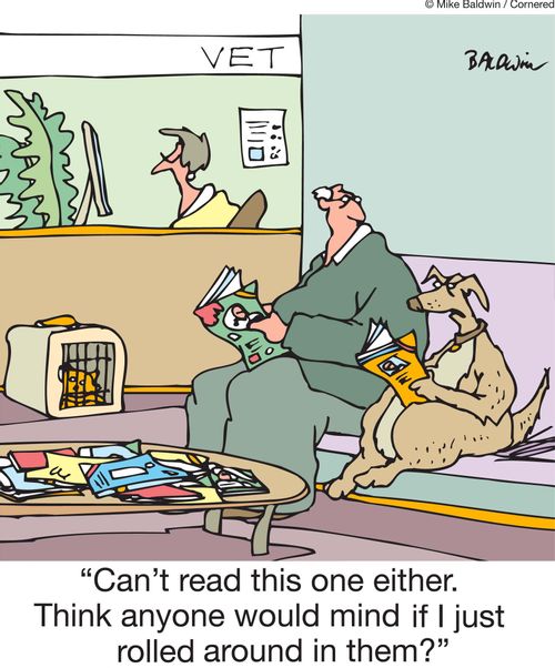 'Can't read this one either. Think anyone would mind if I just rolled around in them?'